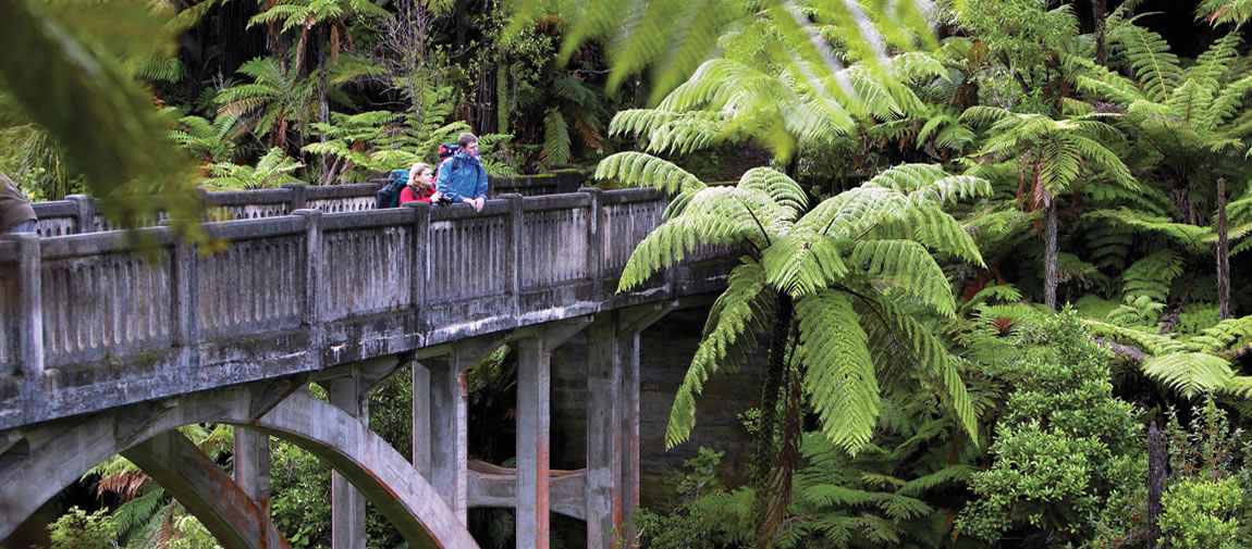 Heaphy Track