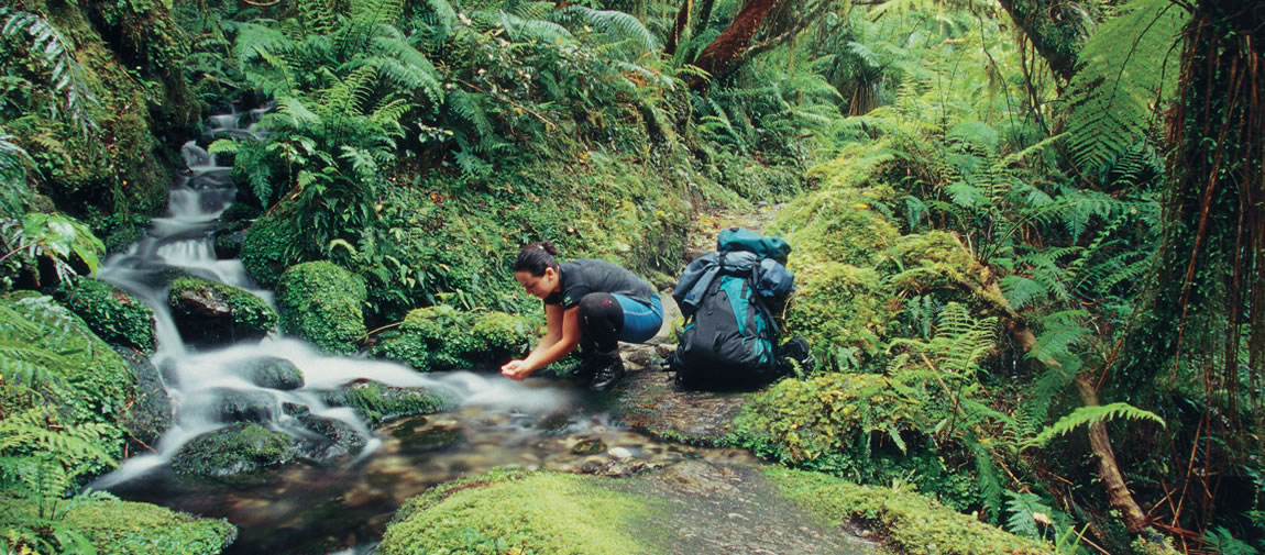 Milford Track