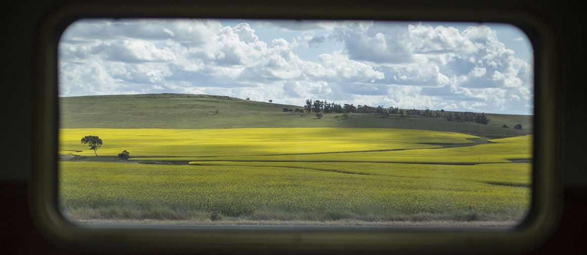 Train window