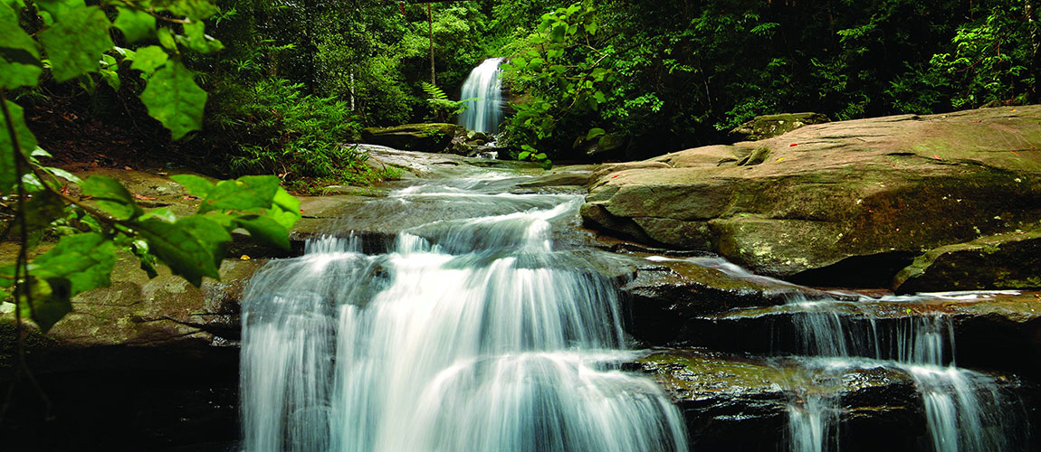 5 stunning national parks on the Sunshine Coast Austravel Blog