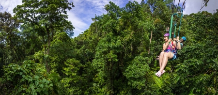 a man riding on top of a tree