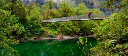 a train going down the river in a forest