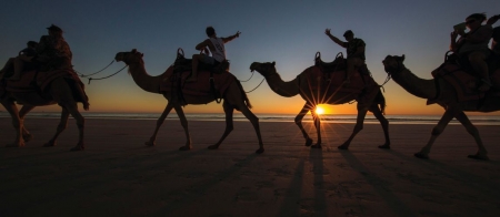 a group of people riding on the back of a horse