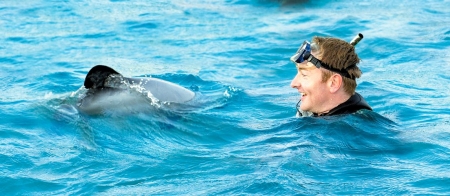 a person swimming in a pool of water