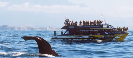 a group of people on a boat in a body of water