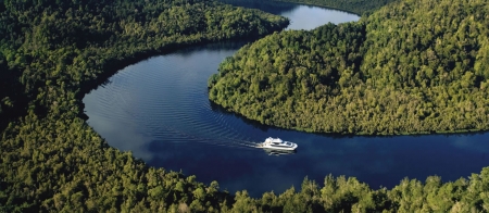 a large body of water surrounded by trees