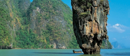 a tree next to a body of water with a mountain in the background