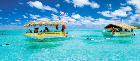 a group of people swimming in a pool of water