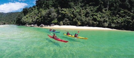 a group of people riding skis on a body of water