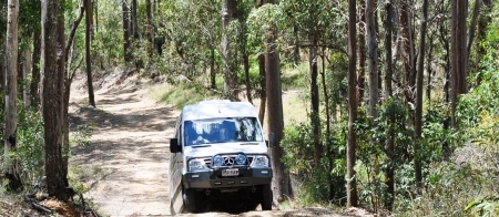 a car parked in a forest