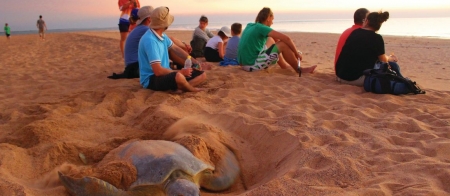 a group of people lying in the sand