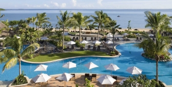 a group of palm trees next to a pool of water