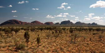 a field with Kata Tjuta in the background