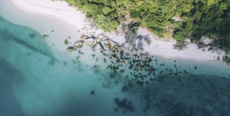 a flock of sheep in a body of water