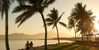 a group of palm trees on a beach near a body of water