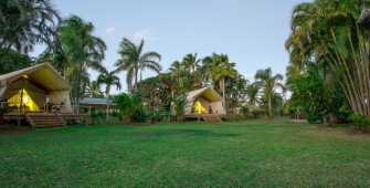 a palm tree in front of a house