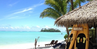 a beach with a palm tree in front of a body of water