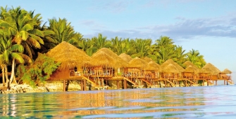 a group of palm trees next to a body of water