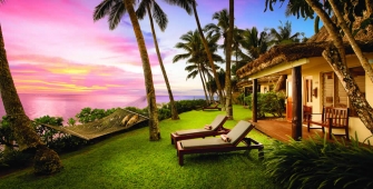 a tree in front of a palm tree