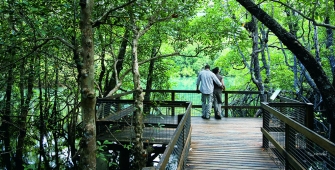 a person sitting on a bench next to a tree