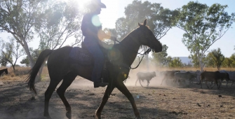 a person riding a horse in the dirt