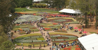 a crowd of people at a park