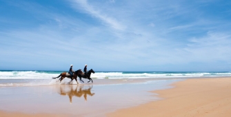 a person riding a horse on a beach