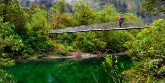 a train going down the river in a forest