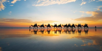 a group of people riding horses on a beach