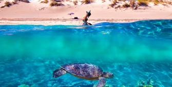 a group of people swimming in a body of water