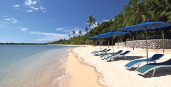 an umbrella sitting on top of a sandy beach