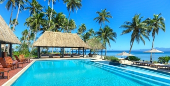 a group of palm trees next to a pool of water