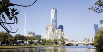 a tree next to a body of water with a city in the background