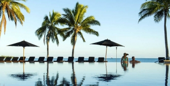 a group of palm trees on a beach near a body of water