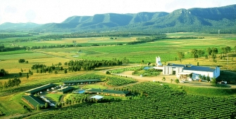 a large green field with a mountain in the background