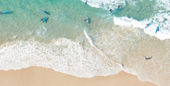 a group of people surfing in the ocean