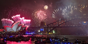 a group of fireworks in the sky