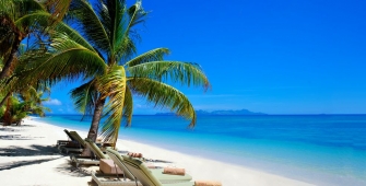 a boat sitting on top of a sandy beach next to a palm tree