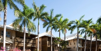 a palm tree in front of a building