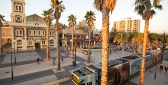 a group of palm trees with a building in the background