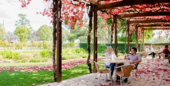 a group of people sitting at a table in a park