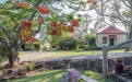 a bench in a garden