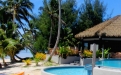 a pool next to a palm tree