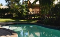 a tree in front of a pool