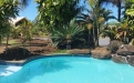 a group of palm trees next to a pool of water