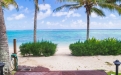 a beach with a palm tree in front of a body of water