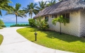 a large lawn in front of a palm tree