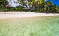 a group of palm trees on a beach