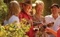 a group of people holding wine glasses