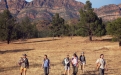 a group of people walking down a dirt road